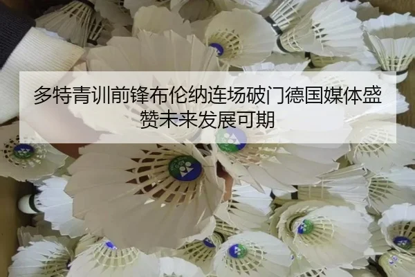 多特青训前锋布伦纳连场破门德国媒体盛赞未来发展可期